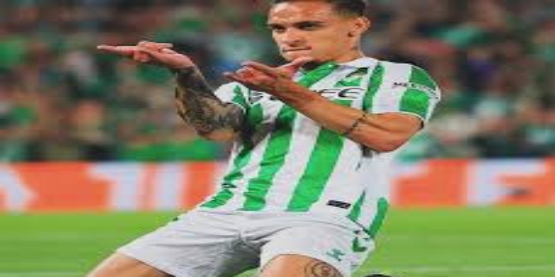 心理解放带来数据反弹，ag尊龙解读表现回暖逻辑-ag尊龙