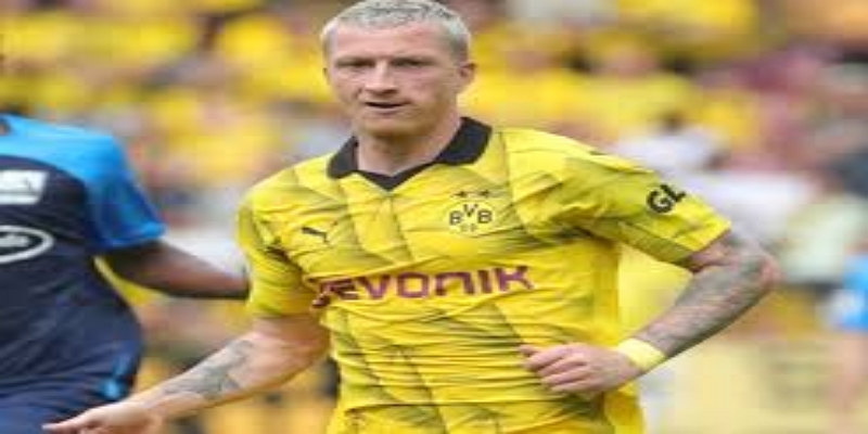 争议从何而来？ag尊龙解构哲科的舆论困境- ag尊龙